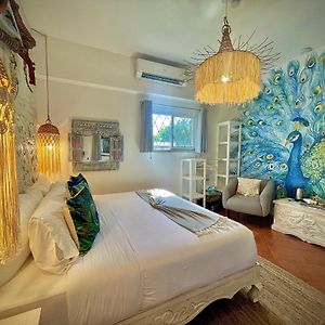 Suite con Cama King